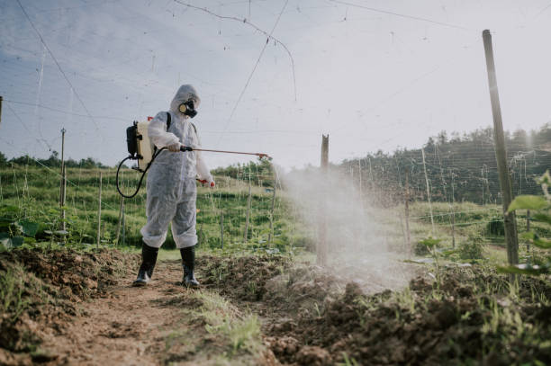 Best Commercial Pest Control Services  in Pine Nyon, CA