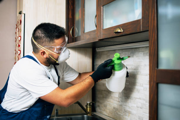 Best Best Pest Control Companies  in Pine Nyon, CA