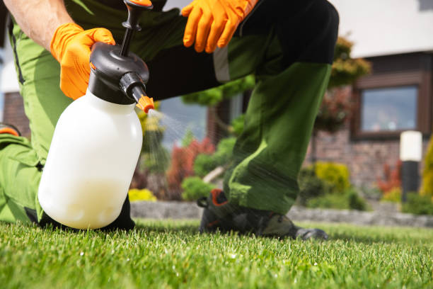 Professional Pest Control in Pine Canyon, CA