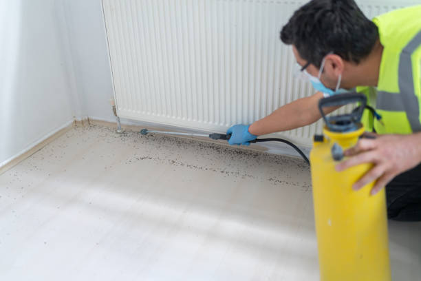 Best Mosquito Control Services  in Pine Nyon, CA